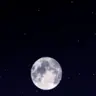Profile image of 감사합니다