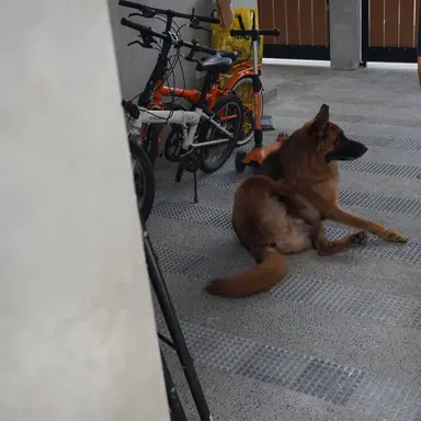 Profile image of 멜로우