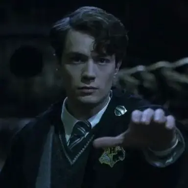 Profile image of Tom Riddle