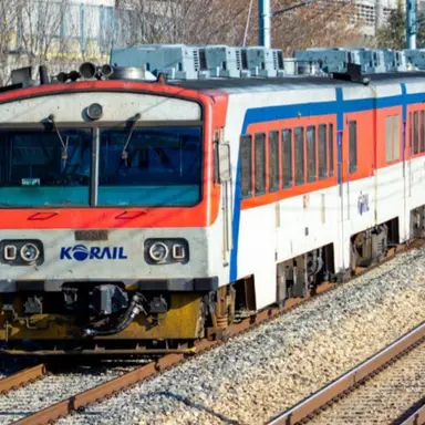 Profile image of RDC