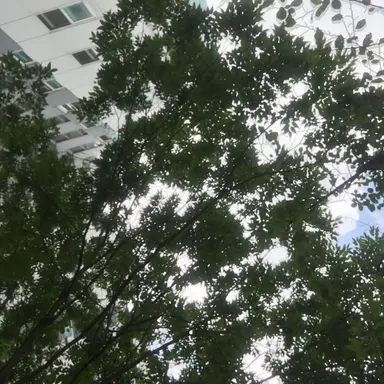 Profile image of 유기사와 여우