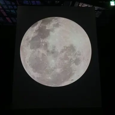 Profile image of 덕개