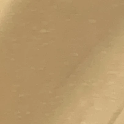 タナー