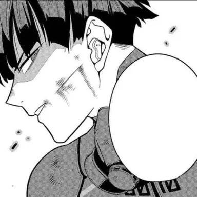 Profile image of 호시나 소우시로