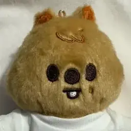 Profile image of 한지성