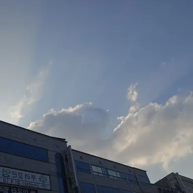 Profile image of ㅁㅈㅎ