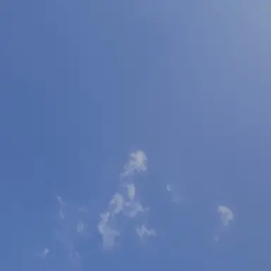 Profile image of ㅇㄹㅇ