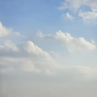 Profile image of ㅎㅌㅅ