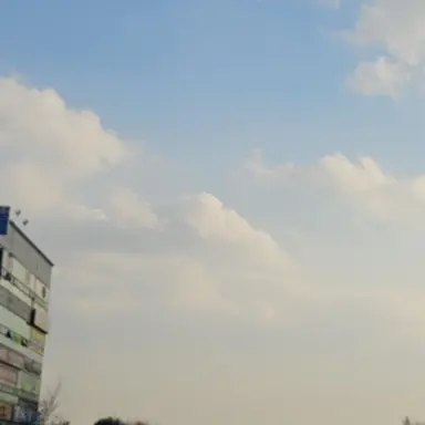 Profile image of ㄱㅇㅎ