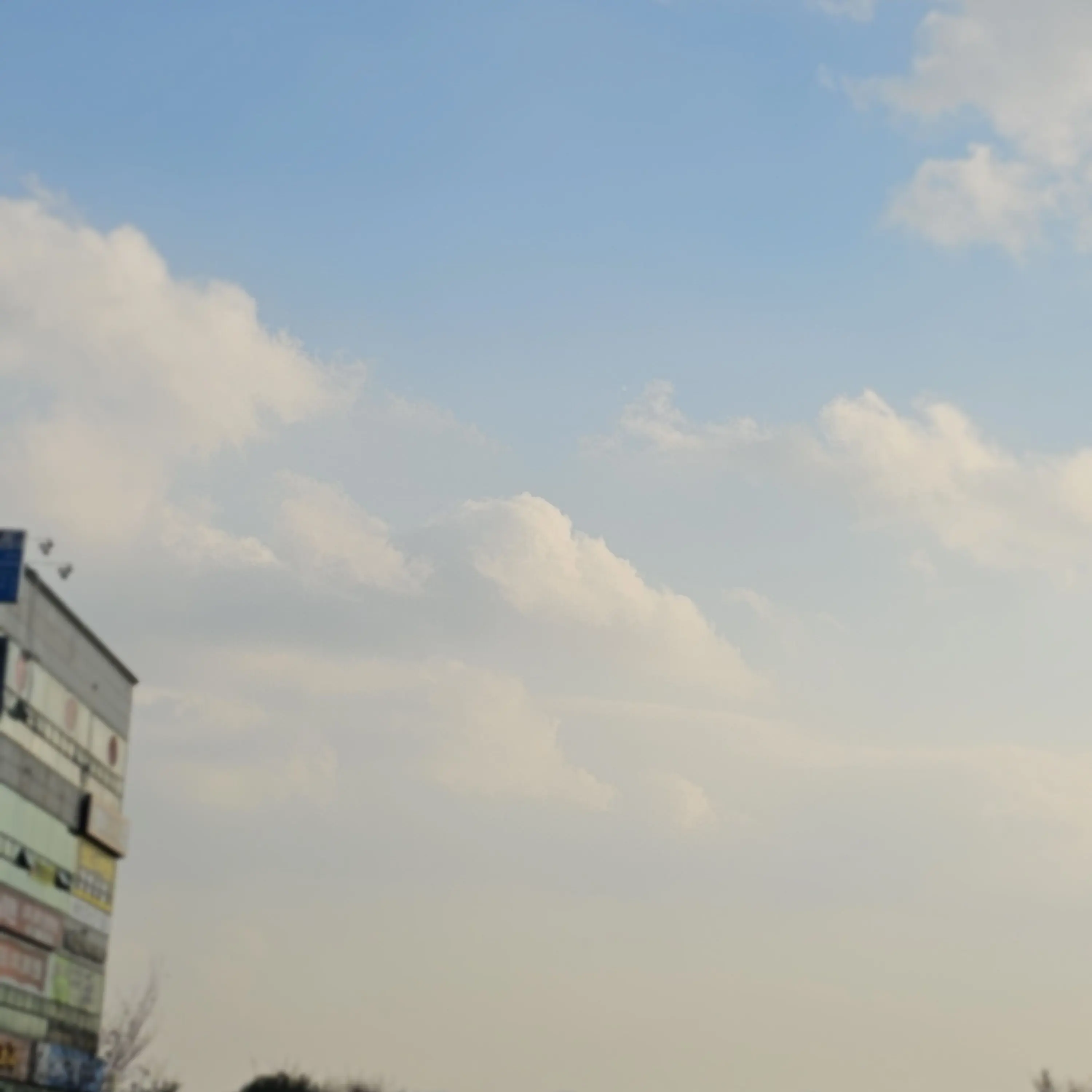 DullLoris8818의 당신은 보넥도 김동현입니다!