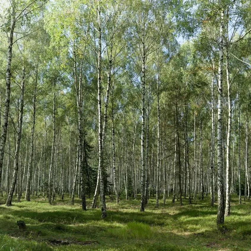 FolksySpoon6698의 걷기만 했는데 매달려져