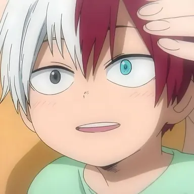 Profile image of Shoto Todoroki