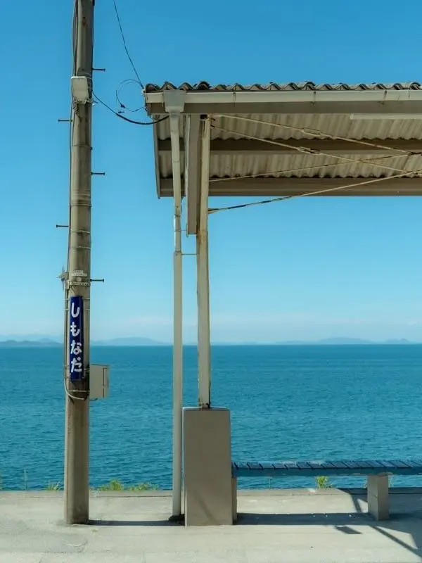 N0N4M3의 쿠스노키 히마리