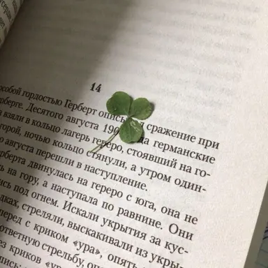 Profile image of 정공룡