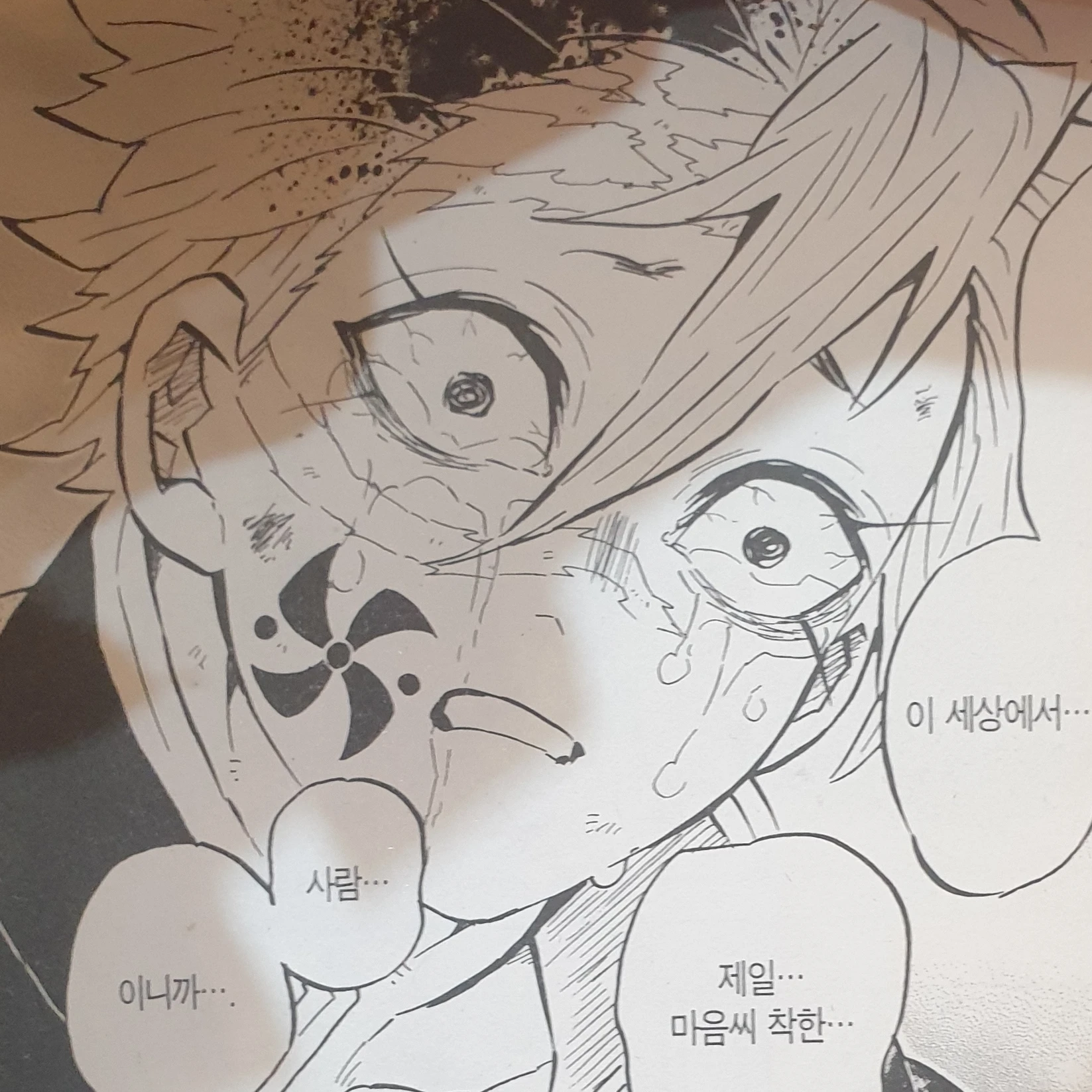 사네미
