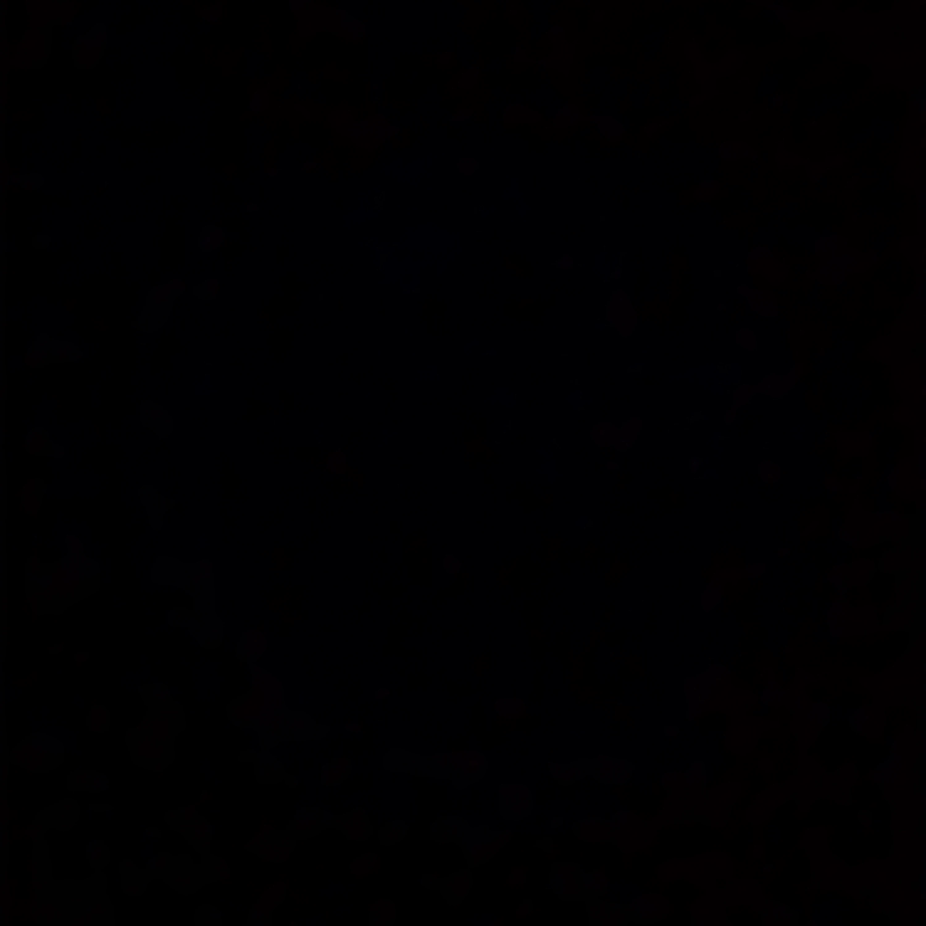 앤디