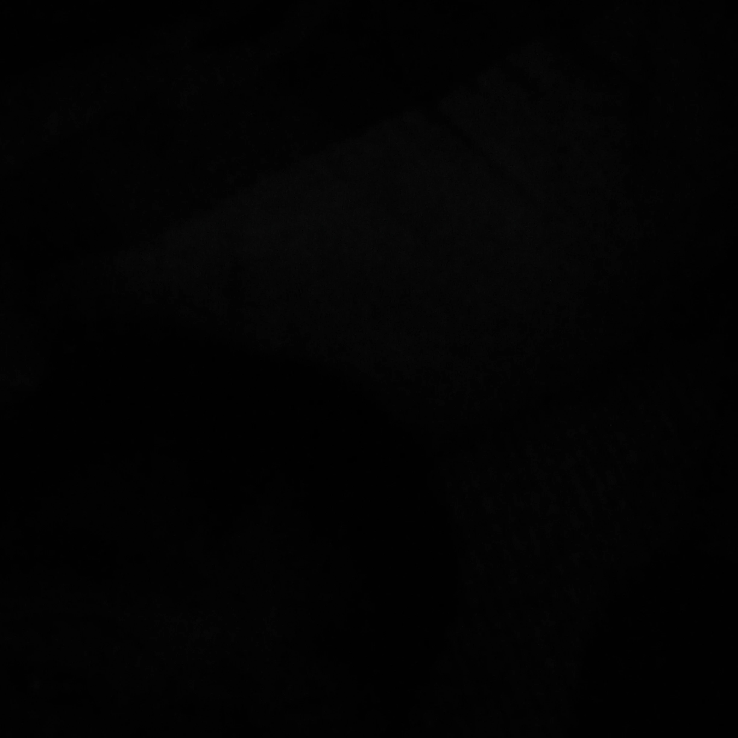 잭스