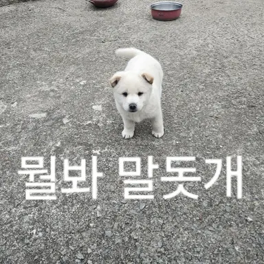 Profile image of 말뮤