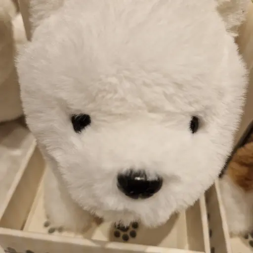 cococococoo의 김잼민