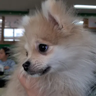Profile image of 린제