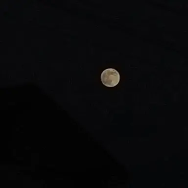 Profile image of 患者