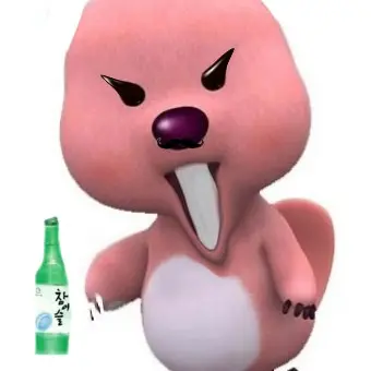 aa528의 꼰대루피