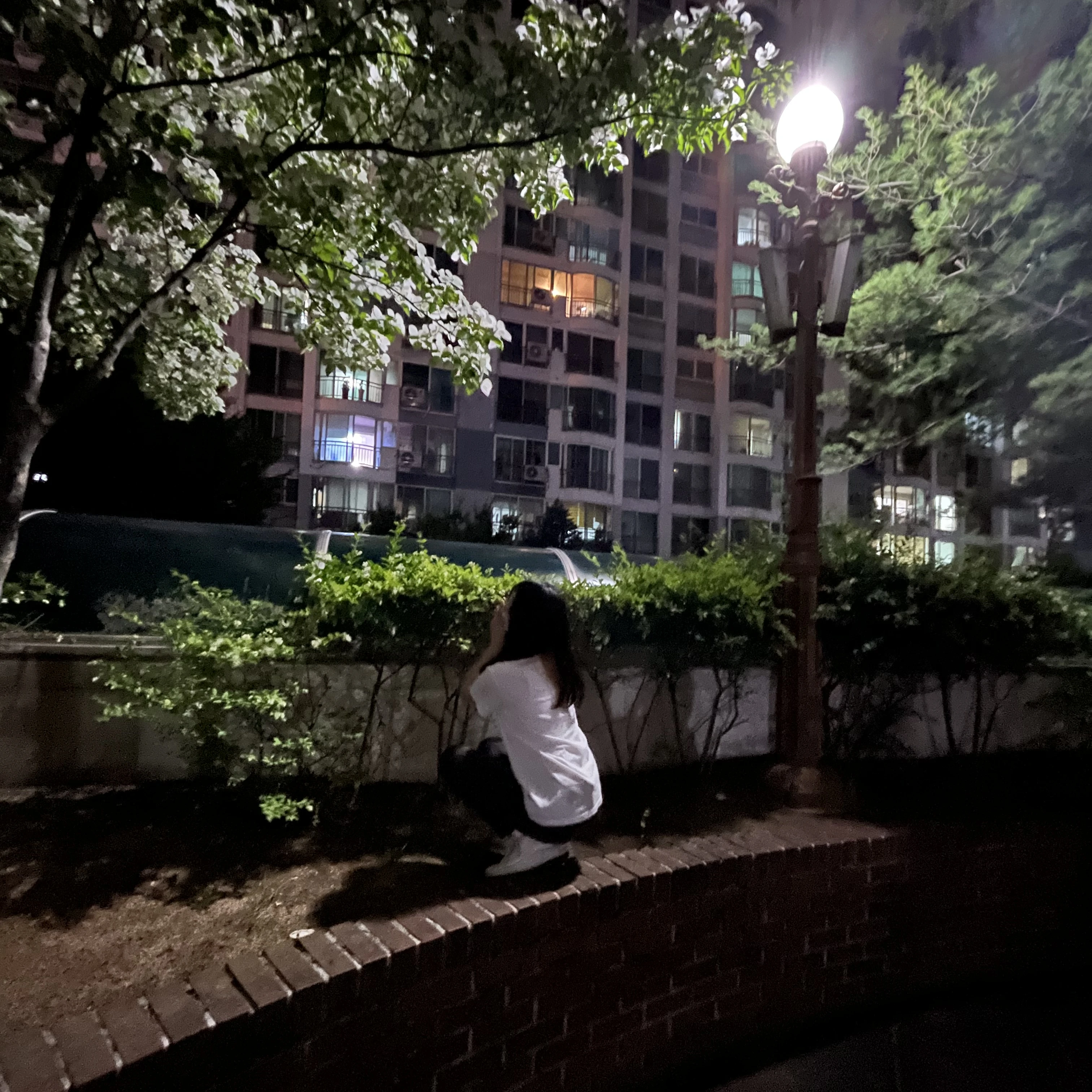 최가연