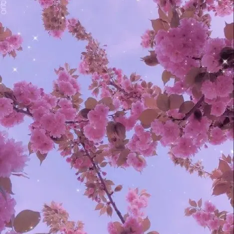 Songsong_cat의 귀여운 소녀