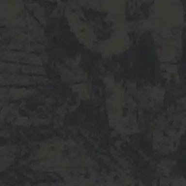Profile image of リヴァイ