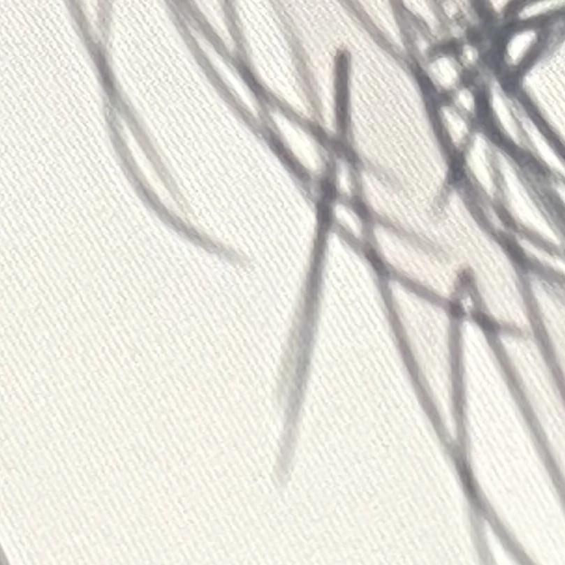 백성일