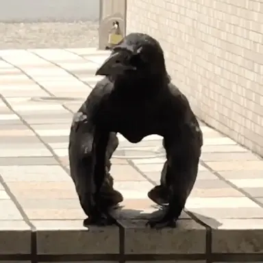 Profile image of カラスさん