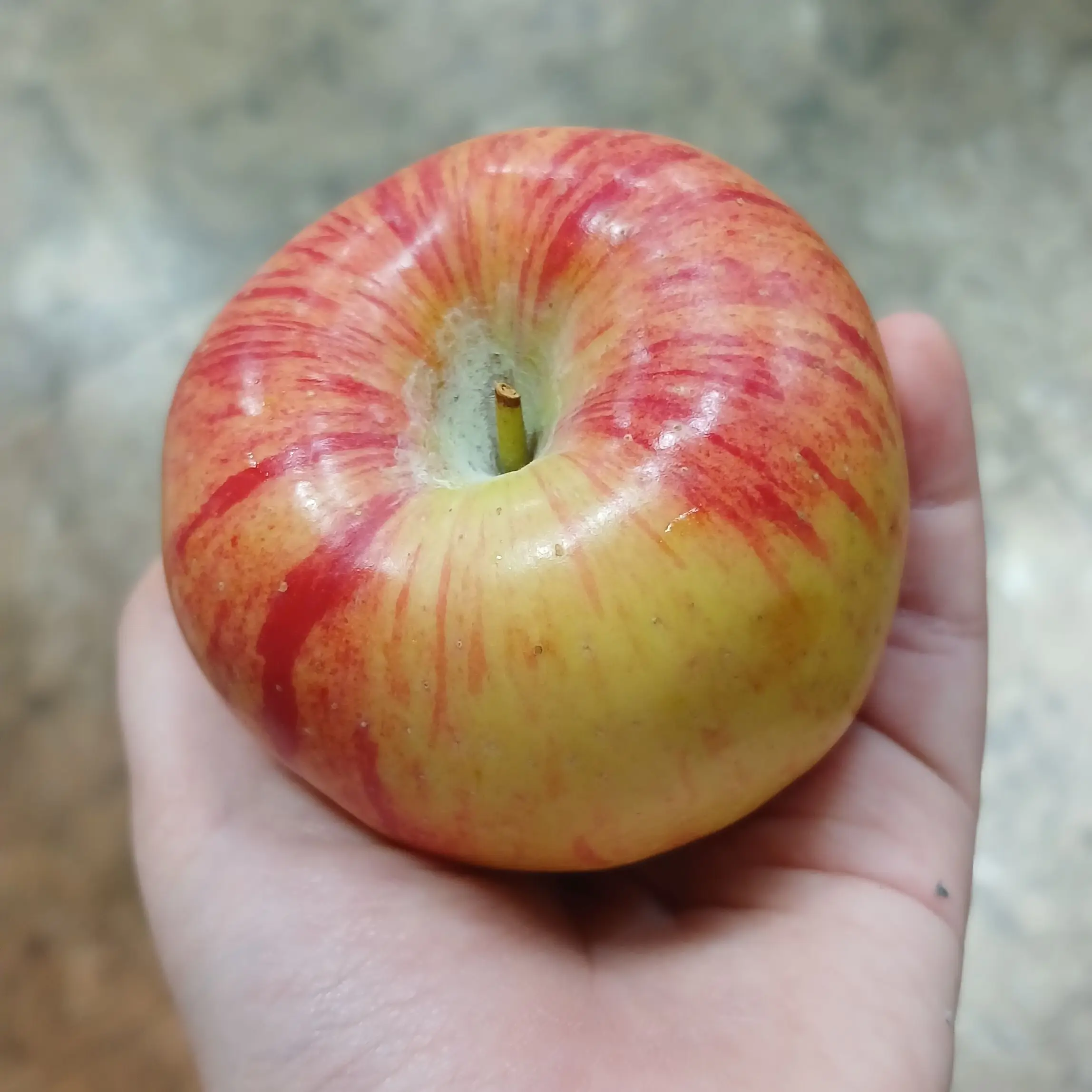 howmin의 팀나빠 납치