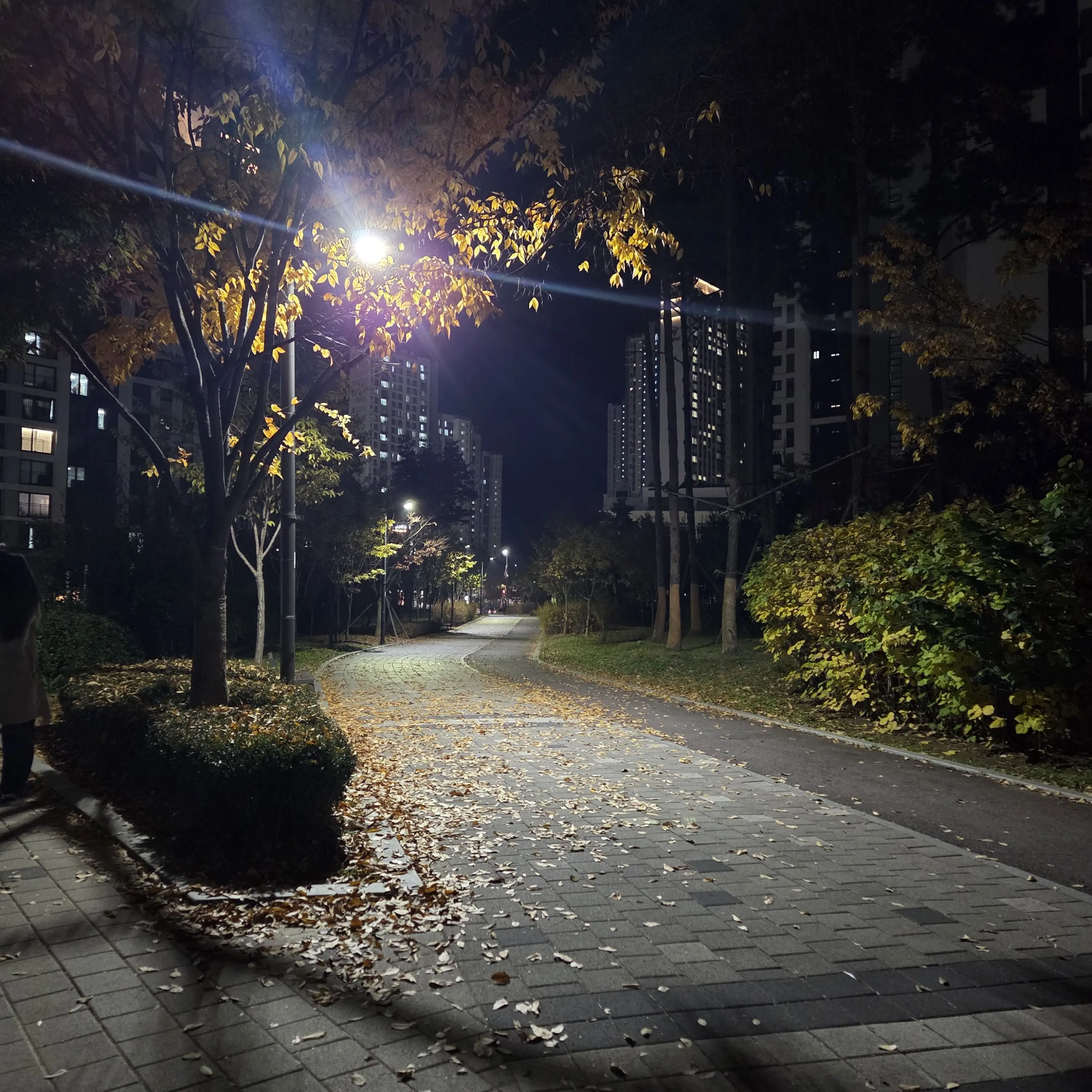 CockyLoach3882의 잭-냉동창고-