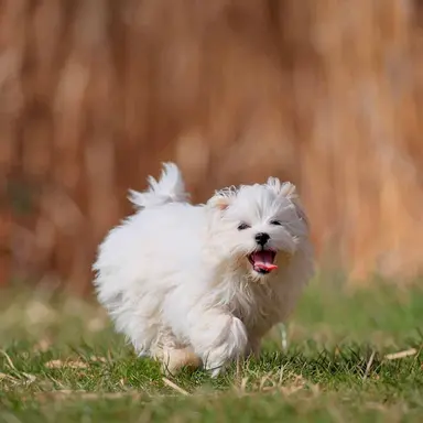 Profile image of 유지민