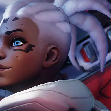 Profile image of Sojourn - Vivian Chase