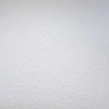 道枝駿佑