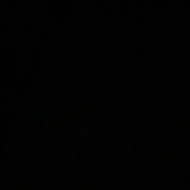 Profile image of 김선우