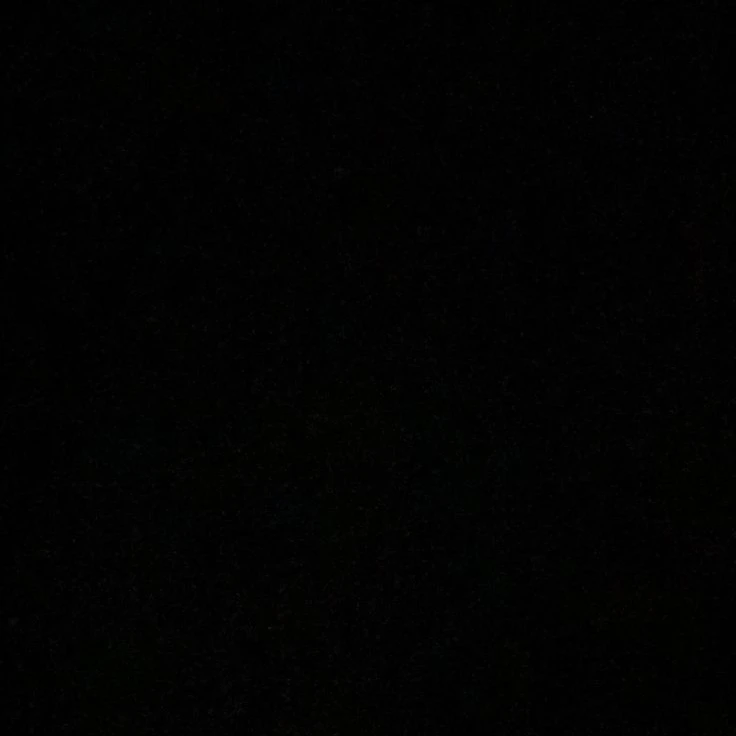 김선우
