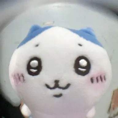 Profile image of 조우안신