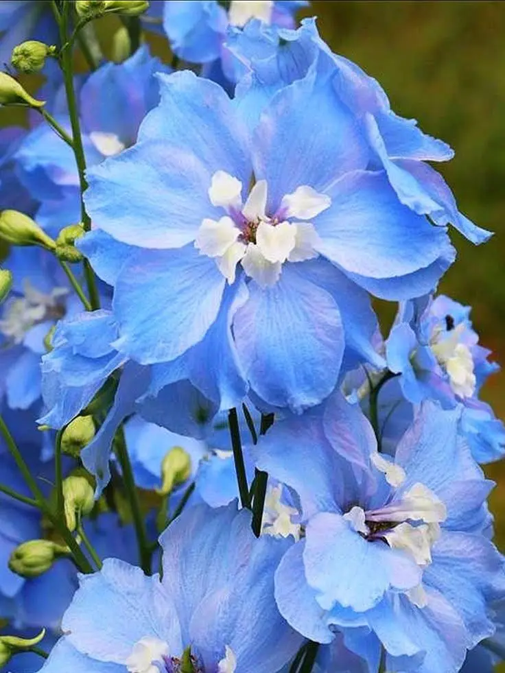 Silver_Bead의 『 君がここにいる方がもっと安全だよ。』