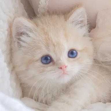 Profile image of まりーちゃん