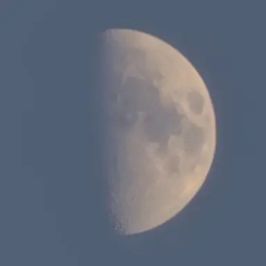 Profile image of 규리