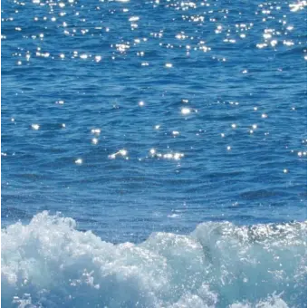 Profile image of 파이브