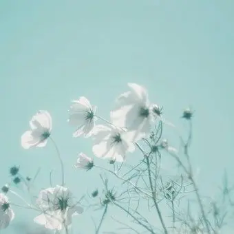 Profile image of 옝