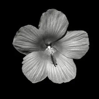 Profile image of 우융