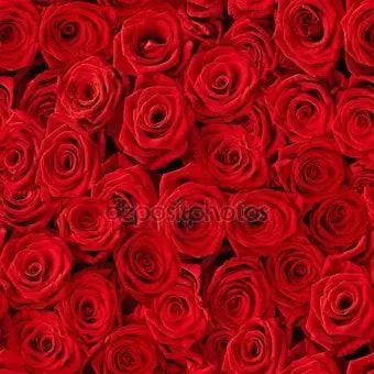 Profile image of 플래그