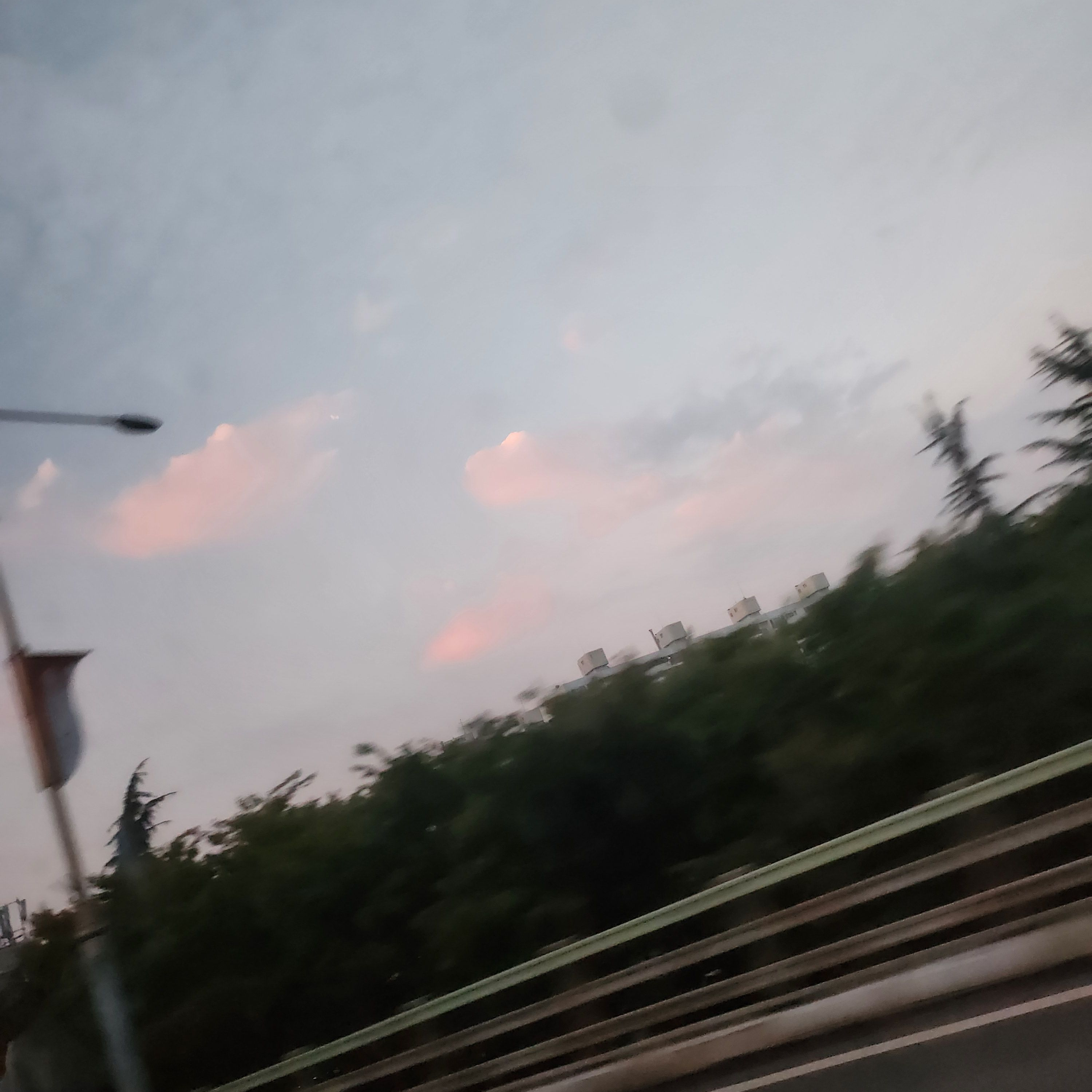 최승현, 여우 대표 이미지