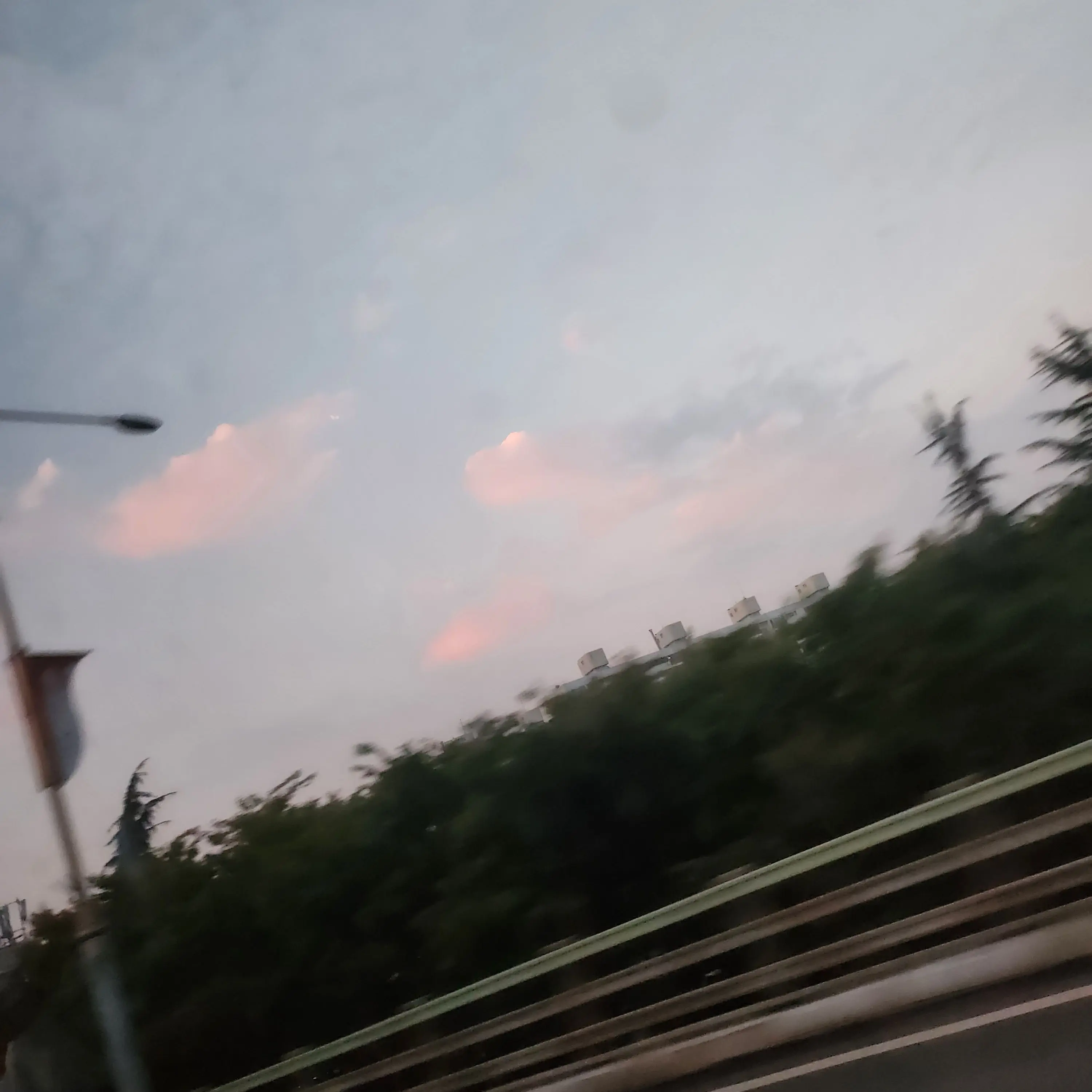 FAM의 최승현, 여우