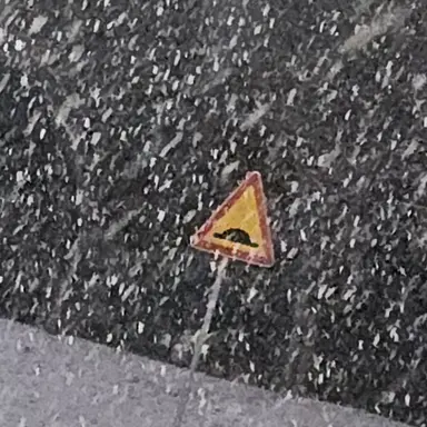 Profile image of 이상혁