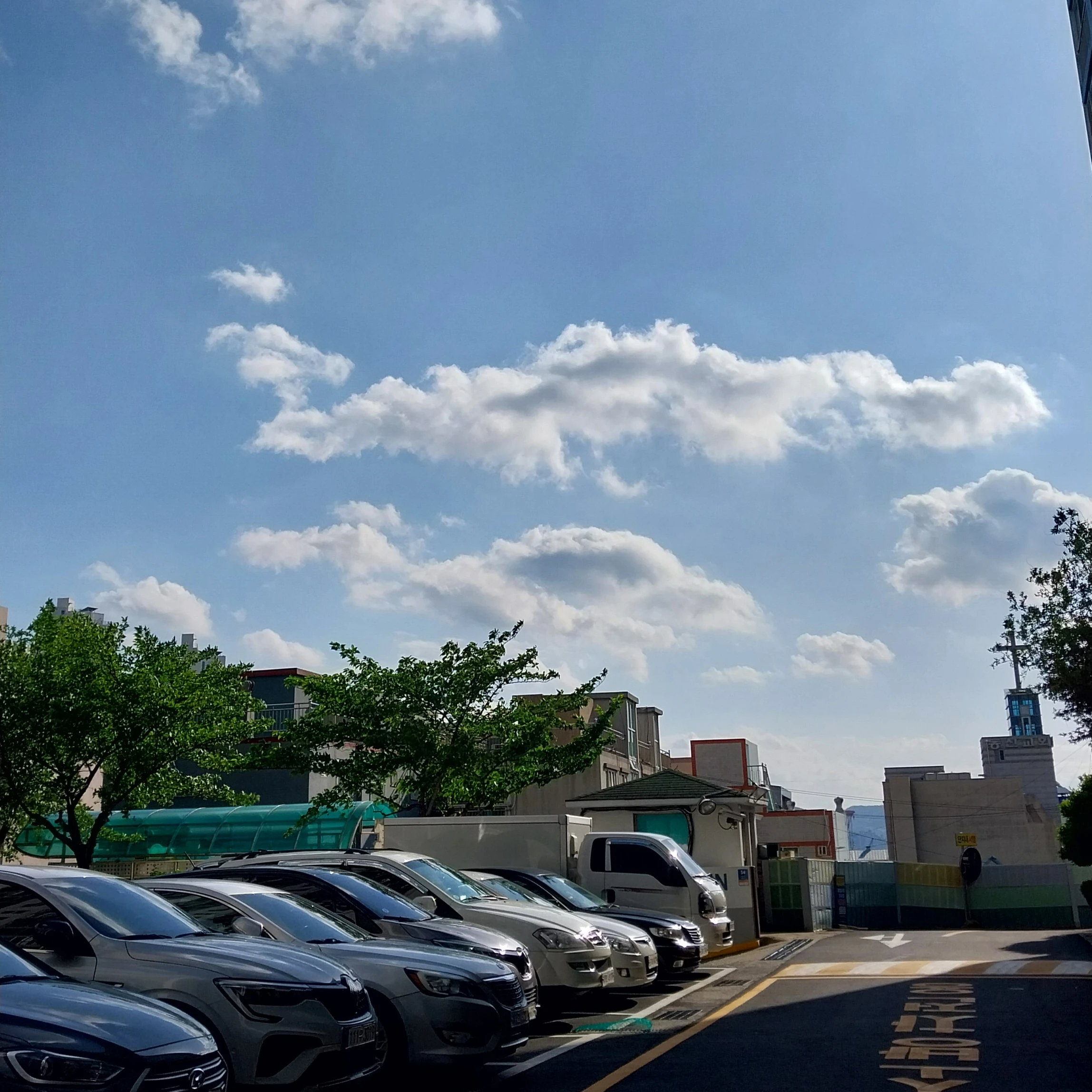 최슨철